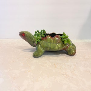 May include: A green ceramic turtle planter with red eyes. The planter is filled with green succulent plants.