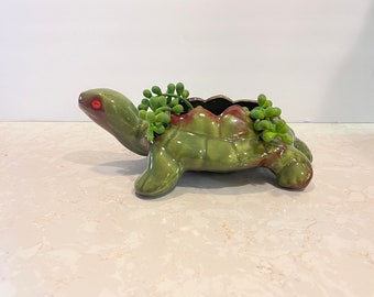 Puede incluir: Un macetero de cerámica verde en forma de tortuga con ojos rojos. El macetero está lleno de plantas suculentas verdes.