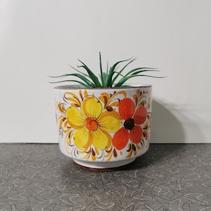 Könnte beinhalten: Weißer Keramiktopf mit einem Blumendesign in Gelb-, Orange- und Brauntönen. Der Topf enthält eine kleine Sukkulente.