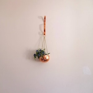 May include: A copper hanging planter with a chain and a hook. The planter is filled with a small green plant with blue flowers.