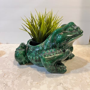 May include: A green ceramic frog planter with a small potted plant inside. The frog planter has a detailed textured surface and a realistic frog design.
