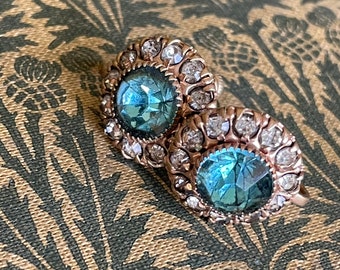 Blue Rhinestone Earrings