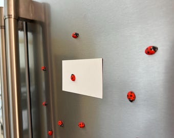 Ladybug Refrigerator Magnets | Cute Fridge Bug Decor | Ladybug Kitchen Gift | Garden Insect Magnet Set | Nature Lover Gift Idea