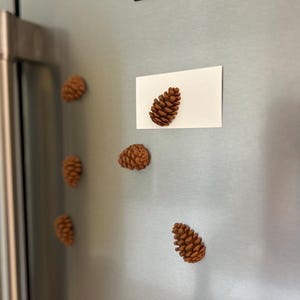 Pinecone Kühlschrankmagnete: Natur Inspiriertes Küchen Dekor