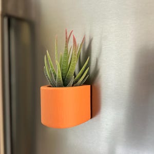 Könnte beinhalten: Ein kleiner orangefarbener Topf mit einer Sukkulentenpflanze darin, die mit einem Magneten an einem silbernen Kühlschrank befestigt ist.