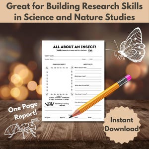 以下が含まれることがあります： ALL ABOUT AN INSECT!というタイトルの白い学習用ワークシート。昆虫名、生徒名、学年、日付、描画ボックス、昆虫の事実を記入する欄があります。ピンクの消しゴムが付いた黄色い鉛筆が、アリのイラストが描かれた紙の上に置かれています。
