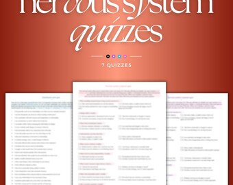 Nervous System Quizzes Bundles | Understand your stress response, Nervous system awareness toolkit printable, Polyvagal Theory, Vagus nerve