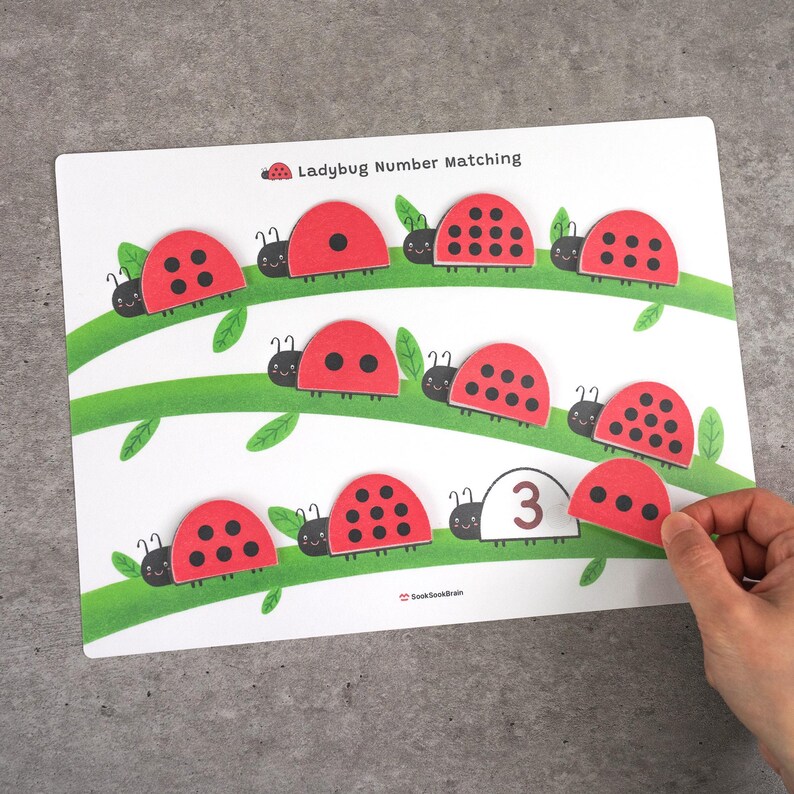 Ladybug Number Matching, Preschool Counting Activity, Montessori Math ...