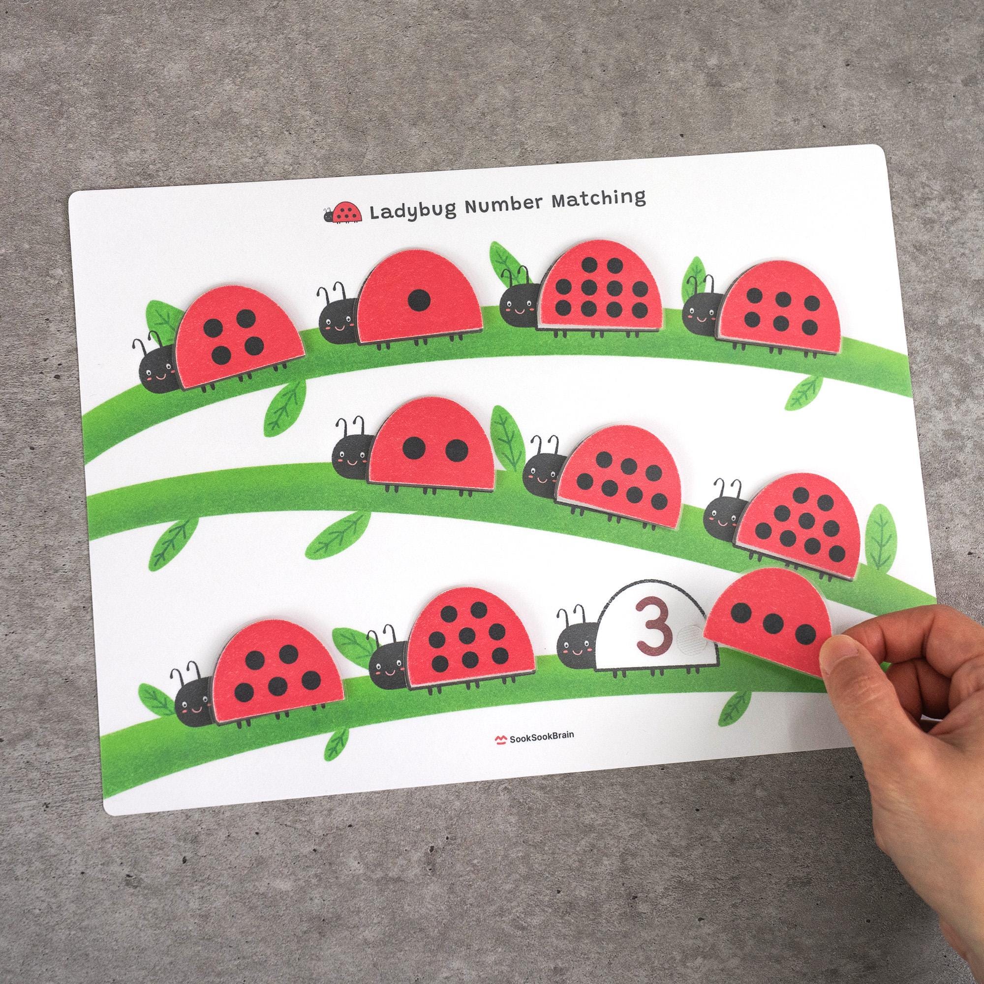 Ladybug Number Matching, Preschool Counting Activity, Montessori Math ...