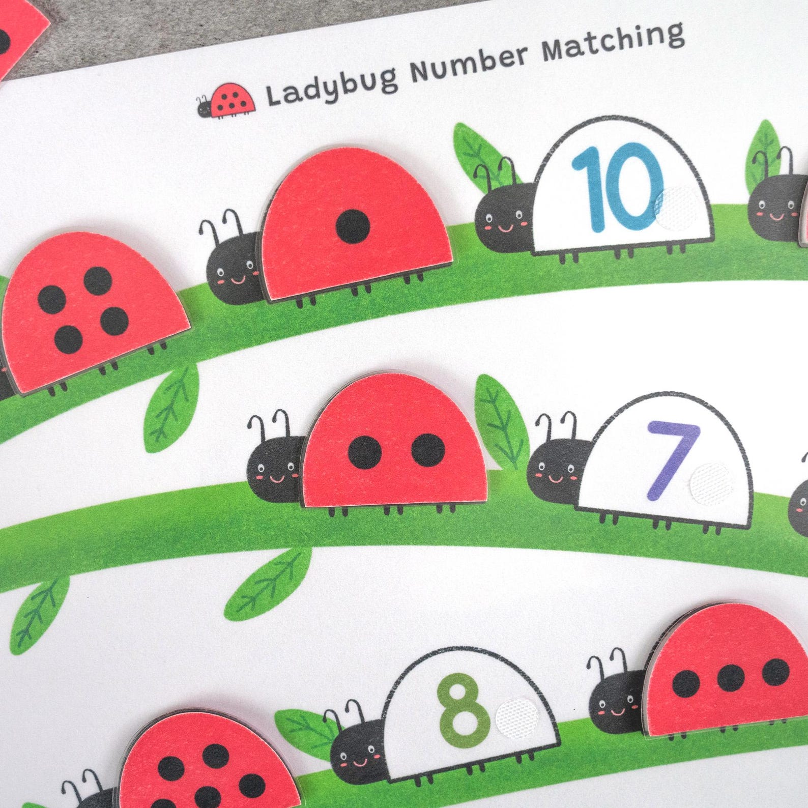 Ladybug Number Matching, Preschool Counting Activity, Montessori Math ...