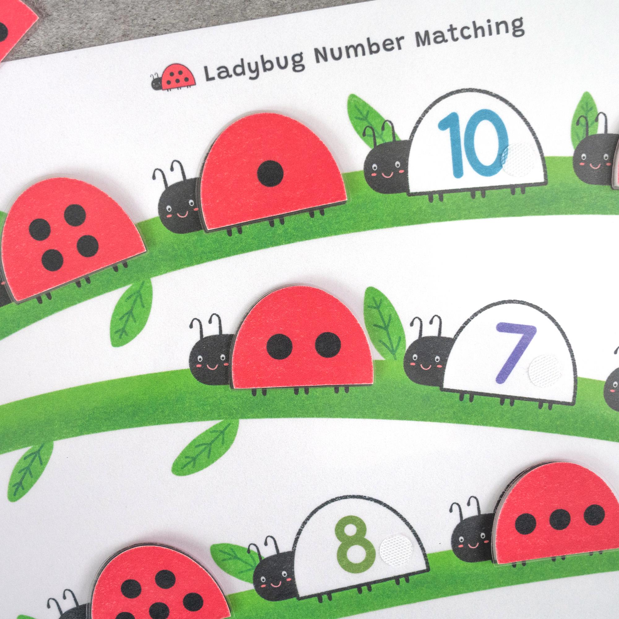 Ladybug Number Matching, Preschool Counting Activity, Montessori Math ...