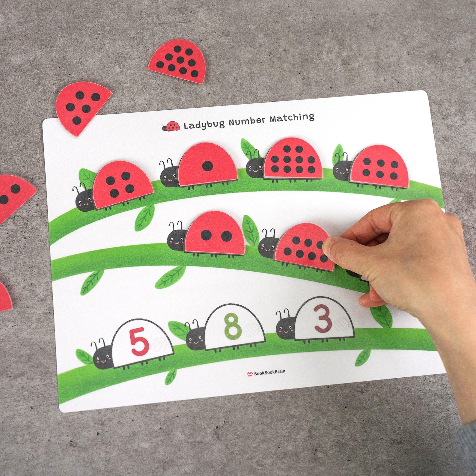 Ladybug Number Matching, Preschool Counting Activity, Montessori Math ...