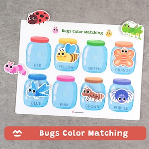 May include: A Bugs Color Matching educational game featuring illustrated jars with colorful lids and matching bug stickers. The jars are labeled with colors like red, yellow, and blue. Includes a ladybug, caterpillar, and grasshopper stickers.