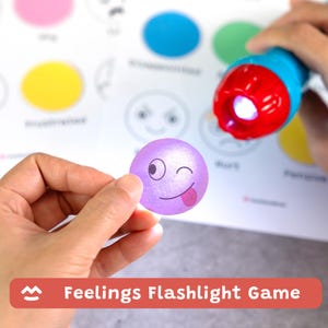 May include: A purple circular disc featuring a winking face with a tongue sticking out, held in front of a white sheet printed with various colored circles and emotion-related text, illuminated by a blue and red handheld flashlight.