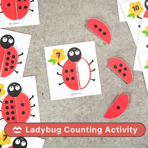 Puede incluir: Juego de actividades de conteo de mariquitas con ilustraciones de mariquitas rojas y negras en tarjetas blancas. Incluye mitades de mariquitas y los números 7 y 10. El texto "Ladybug Counting Activity" se muestra en una pancarta roja.
