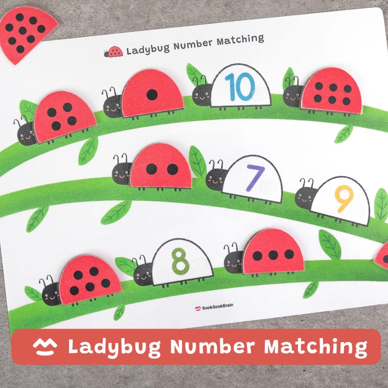Ladybug Number Matching, Preschool Counting Activity, Montessori Math ...