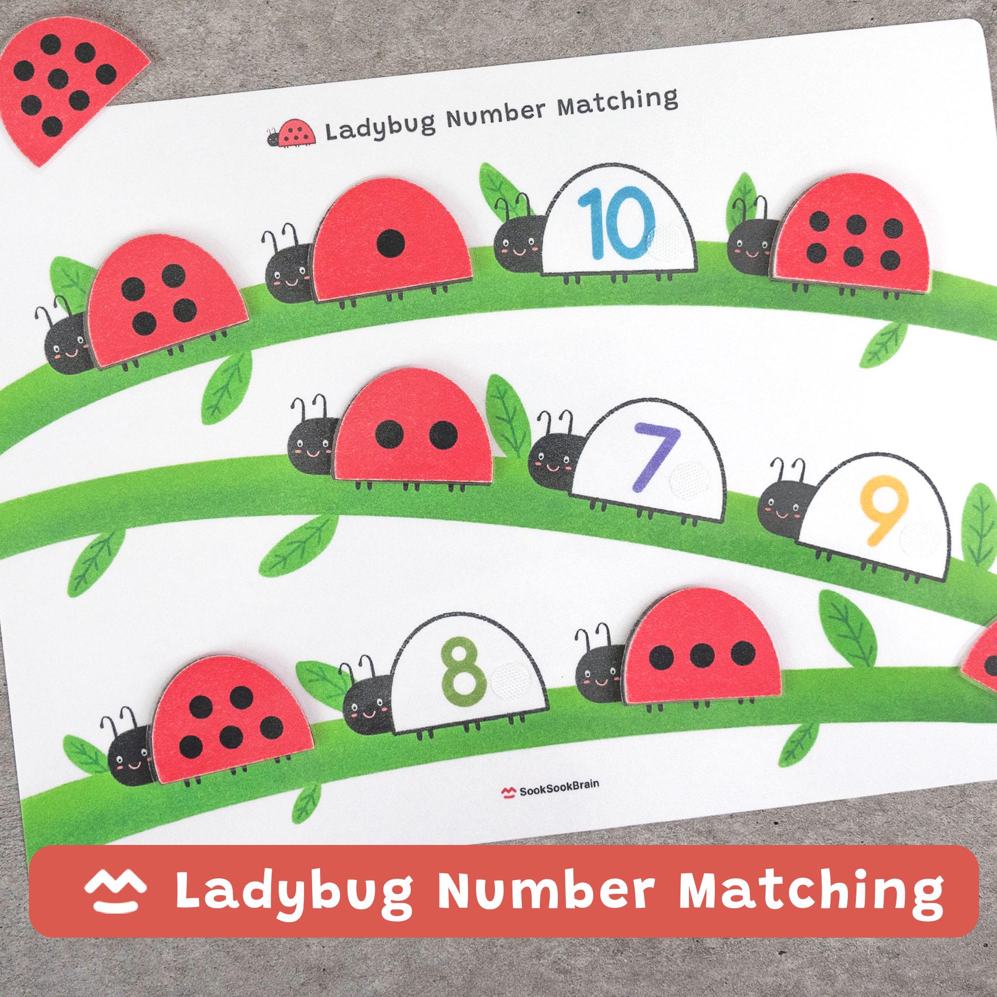 Ladybug Number Matching, Preschool Counting Activity, Montessori Math ...