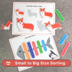 Puede incluir: Juego educativo de clasificación con formas de perros corgi y un diseño de espina de pescado. El juego incluye piezas coloridas y el texto "I CAN SORT SMALL TO BIG" y "Small to Big Size Sorting".