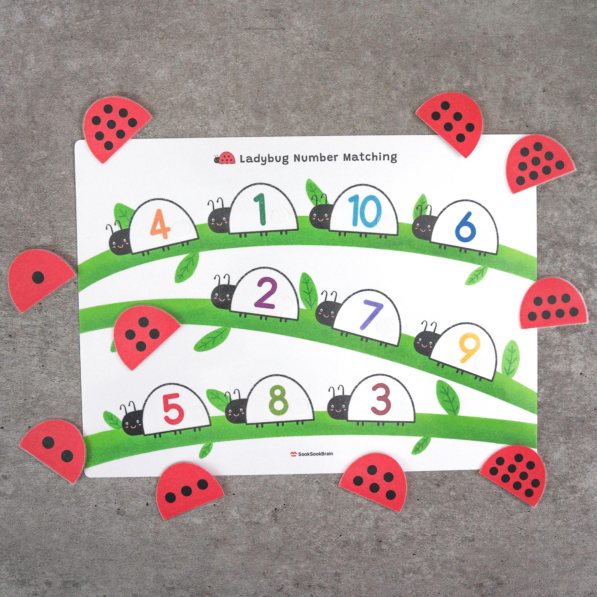 Ladybug Number Matching, Preschool Counting Activity, Montessori Math ...