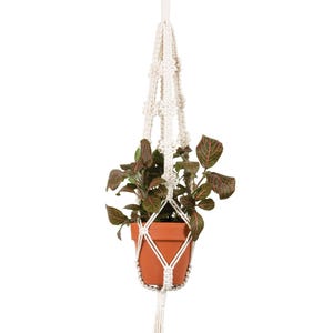 May include: A white macrame plant hanger with a wooden ring at the top and a tassel at the bottom. A terracotta pot with a green plant is hanging in the macrame.
