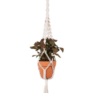 May include: A white macrame plant hanger with a wooden ring at the top and a tassel at the bottom. A terracotta pot with a green plant is hanging in the macrame.