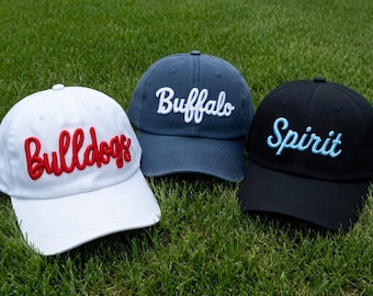 Gorra bordada 3D con mascota del equipo, gorra para el día del partido, gorra de equipo para mujer, gorra de equipo bordada linda, gorra de equipo universitario, gorra de equipo deportivo