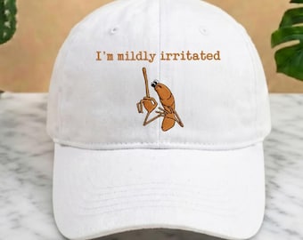 I'm Mildly Irritated Flag Embroidered Hat, Marcus The Worm Hat, Funny Sarcastic Meme Cap, I Don't Like This Rock Cap, Robert Help Worm