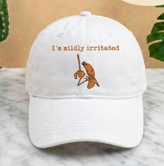 I'm Mildly Irritated Flag Embroidered Hat, Marcus The Worm Hat, Funny Sarcastic Meme Cap, I Don't Like This Rock Cap, Robert Help Worm