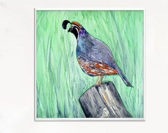 California Quail Art Print - Valley Bird Watercolor Painting - Riproduzione su tela o carta d'archivio