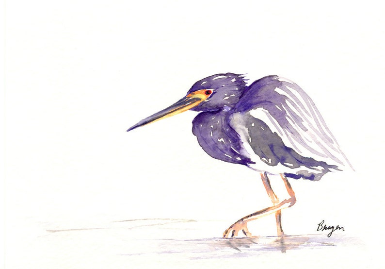 TriColoured Heron Art Card Bird Painting Note or Greeting Card image 3