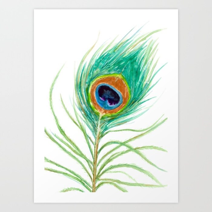 Watercolor Painting Peacock Feather Wildlife Bird Art | Etsy