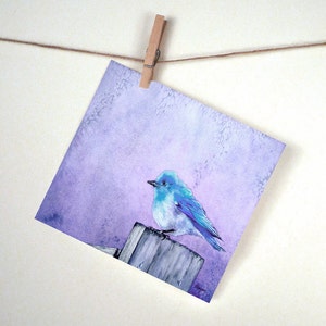 Briefpapierset Bluebird - Notitiekaarten of wenskaarten - Bird Fine Art