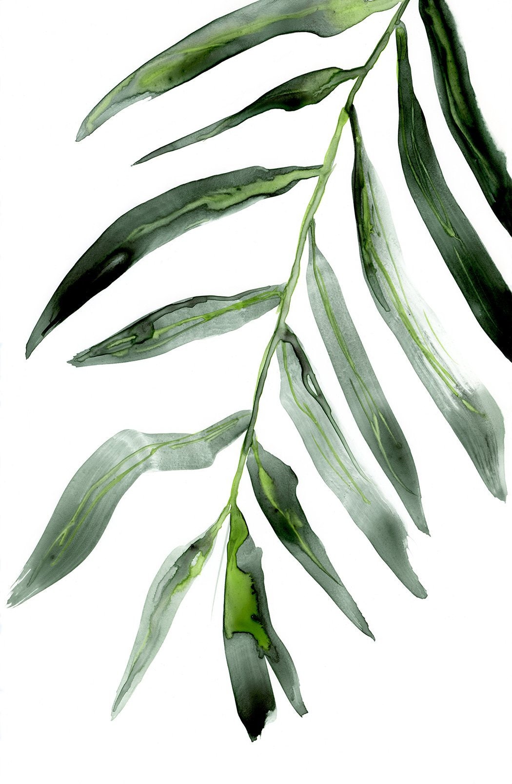 Palm Frond Art Print - Botanical Nature Watercolor Painting - Archival ...