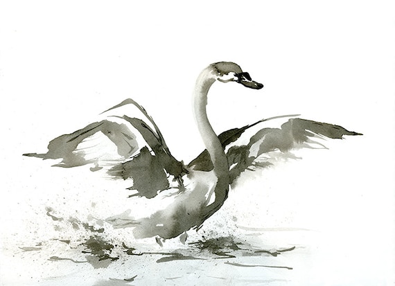 白鳥の雛のアートプリント - ミニマリストな日本の筆絵 - アーカイブ
