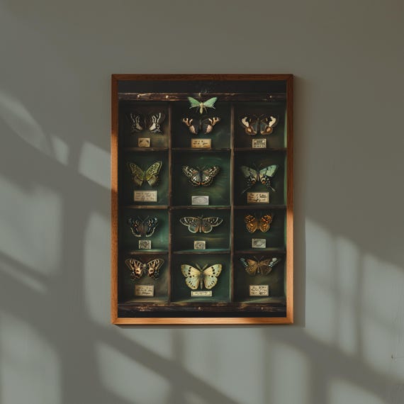Dark Academia Fine Art Print – Framed Moth & Butterfly Collection – Vintage Insect Study Wall Art for Library or Study
