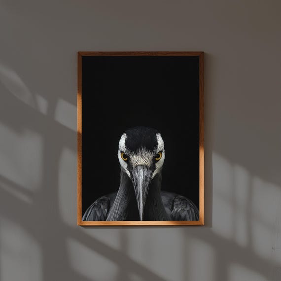 Elegant Crane Portrait Wall Art – Frontal Bird Face Print – National Geographic Style Wildlife Decor – Nature Photography Poster