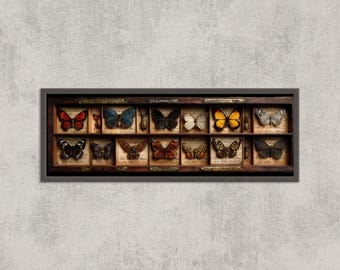 May include: A rectangular framed display featuring a collection of butterflies, each presented in a separate compartment. The butterflies exhibit diverse colours, such as red, blue, black, and orange. The wooden frame has a dark finish, and the background is a neutral grey.