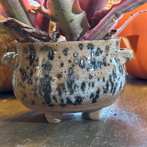 May include: A small, round, beige ceramic planter with two side handles and three short feet. The exterior features a speckled glaze pattern with dark brown and black spots that transition into a lighter, creamy tan base color near the bottom.