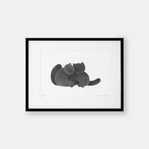 Companion No.7 – A4 Limited Edition Print