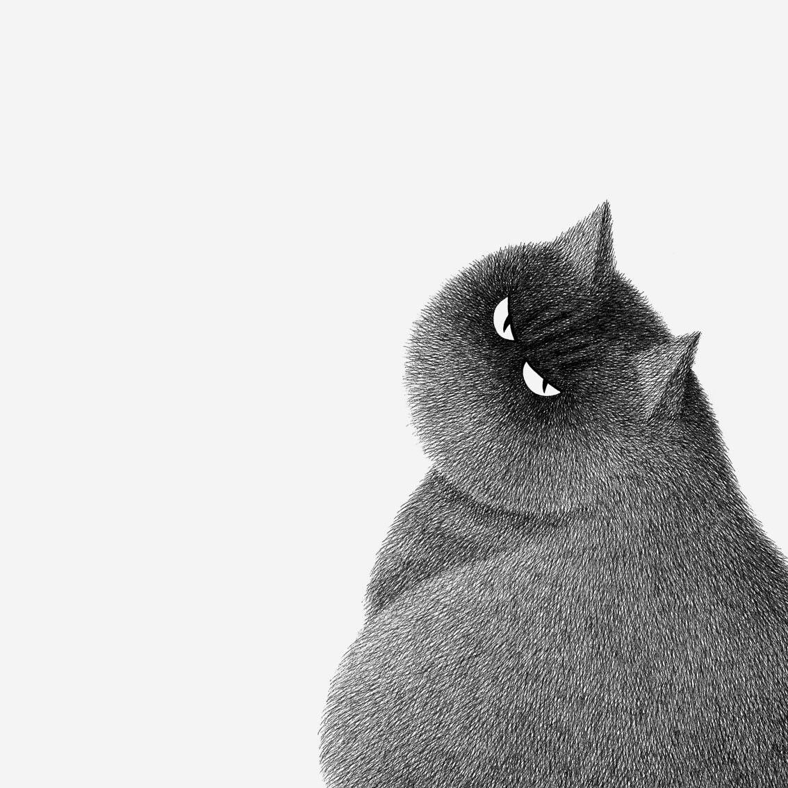 Kitty No.36 – A4 Limited Edition Print - Etsy