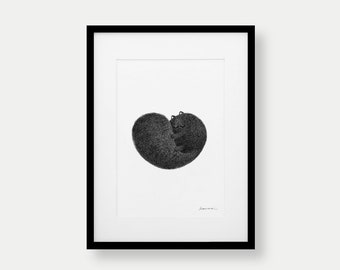 Kitty No.4 – A4 Open Edition Print