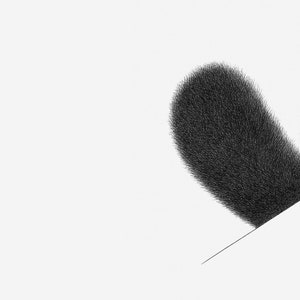 Puede incluir: Una forma redonda negra y difusa sobre un fondo blanco. La forma est&aacute; parcialmente oculta por una l&iacute;nea blanca.