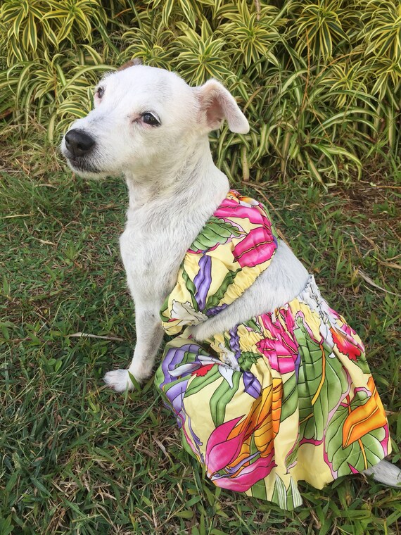 hawaiian dog outfit