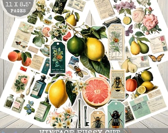Vintage Typewriter Ephemera Sheet: Botanical Junk Journal Clipart (Digital Download)