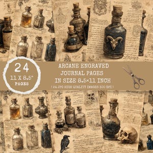 May include: A collection of 24 arcane engraved journal pages, each 8.5 x 11 inches. The pages feature illustrations of potion bottles, skulls, and other mystical elements. The image includes text that reads "Arcane Engraved Journal Pages".
