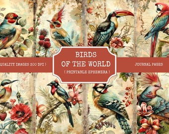 Vintage Bird Journal Pages: Botanical Watercolor Ephemera (Digital Download)