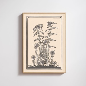 Stampa di felci, poster di felci in xilografia, stampa in xilografia, stampa naturalistica, Julie de Graag, artista donna, regalo per amanti della natura, stampa di piante, arte della fauna