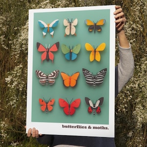 Stampa di farfalle e falene, stampa di farfalle, arte naturalistica, decorazione da parete con insetti colorati, regalo per gli amanti delle farfalle, stampa d'arte moderna, pareti per bambini