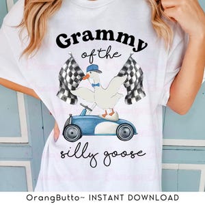 Grammy Of The Silly Goose Png, Birthday Boy Goose Racing Car Png, Custom Name Request, Silly Goose On The Loose, Gift Birthday For Boys Png