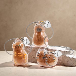 Custom Pet Fur Memorial Box: Engraved Keepsake with Bracelet
